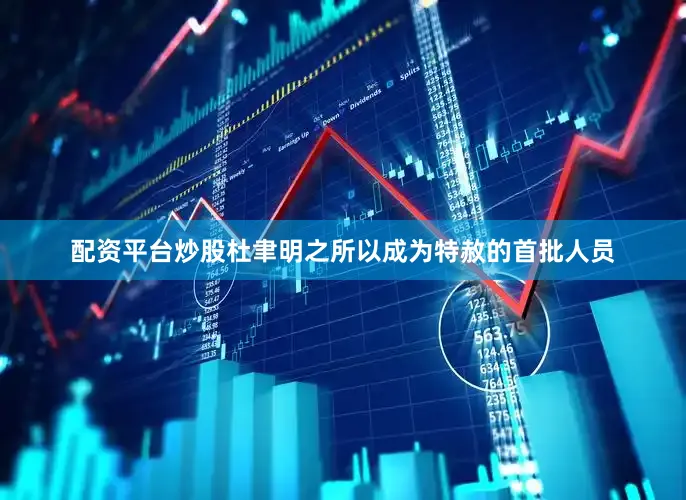 配资平台炒股杜聿明之所以成为特赦的首批人员