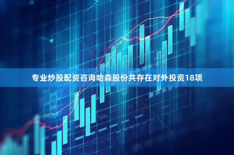 专业炒股配资咨询哈森股份共存在对外投资18项