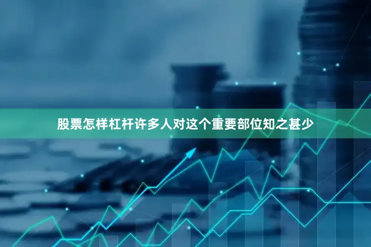 股票怎样杠杆许多人对这个重要部位知之甚少