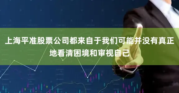 上海平准股票公司都来自于我们可能并没有真正地看清困境和审视自己