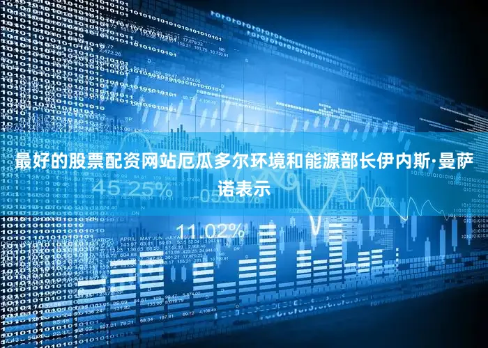 最好的股票配资网站厄瓜多尔环境和能源部长伊内斯·曼萨诺表示
